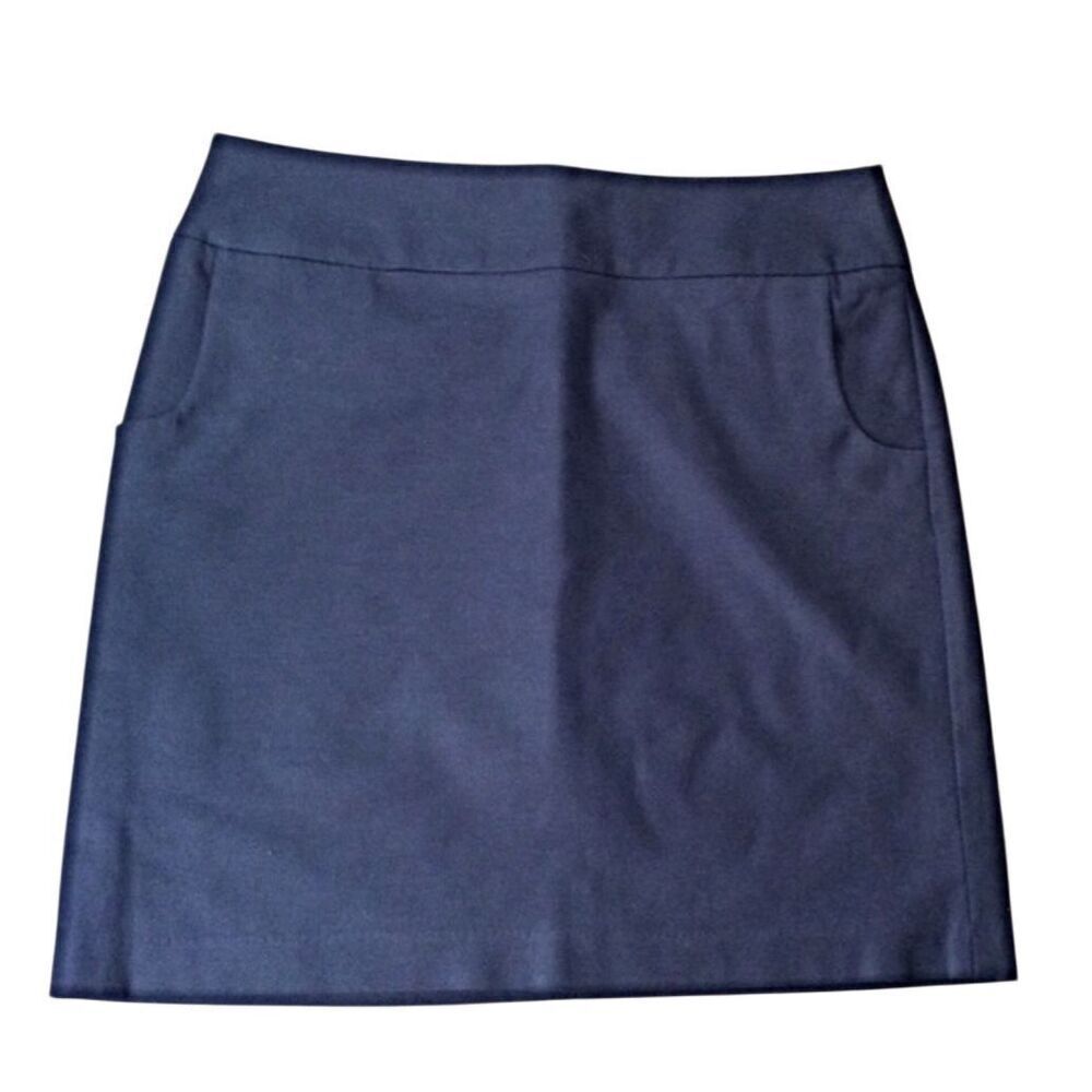 Dalia Collection navy skirt - size 6